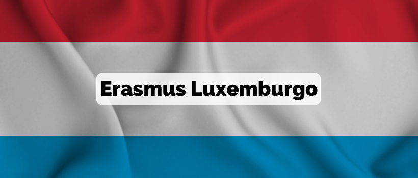 Erasmus luxemburgo